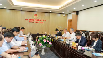 Chủ tịch UBND tỉnh Trịnh Xuân Trường làm việc với Đoàn công tác Công ty Cổ phần Erex (Nhật Bản)