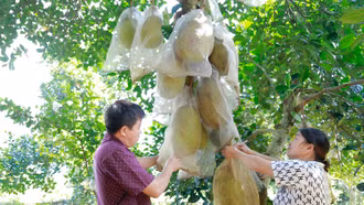 Cuộc sống mới ở thôn biên giới Tân Tiến