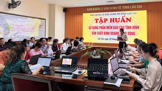 Ban Quản lý Khu kinh tế tỉnh tập huấn hướng dẫn sử dụng phần mềm báo cáo tình hình sản xuất, kinh doanh - lao động