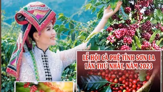 Chương trình Lễ hội Cà phê tỉnh Sơn La lần thứ nhất, năm 2023 sẽ khai mạc vào ngày 20/10