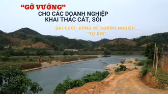 Bài cuối: Đừng để doanh nghiệp... “tự bơi”