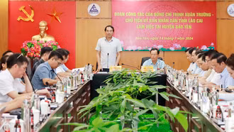 Quyết tâm khôi phục vùng trồng chuối, dâu tằm tại huyện Bảo Thắng và huyện Bảo Yên