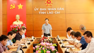 Không có vụ việc nổi cộm về buôn lậu, gian lận thương mại và hàng giả xảy ra trên địa bàn tỉnh