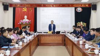 Bàn giải pháp phát triển vùng trồng chuối, dứa, cây ăn quả ôn đới giai đoạn 2024 - 2025