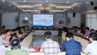 3 xã được triển khai dự án về quyền sức khỏe sinh sản và quyền học tập cho trẻ em người dân tộc dễ bị tổn thương 