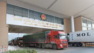 Mỗi ngày có gần 400 xe hàng xuất - nhập khẩu qua Cửa khẩu Kim Thành