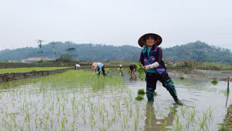 Theo chân nông dân ra đồng ngày đầu xuân