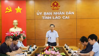 Ban Chỉ đạo 389 tỉnh triển khai nhiệm vụ trọng tâm những tháng cuối năm