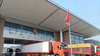 Hoạt động xuất - nhập khẩu duy trì xuyên kỳ nghỉ lễ