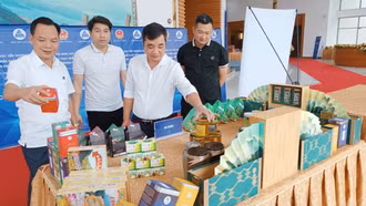 Hội nghị xúc tiến thương mại và đẩy mạnh xuất khẩu vùng Trung du, miền núi phía Bắc tổ chức tại Lào Cai