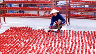 Bảo Thắng: Nhiều chỉ tiêu phát triển đạt hơn 50% sau nửa năm 