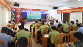 Triển khai công tác phối hợp về quản lý, bảo vệ và phát triển rừng trên địa bàn tỉnh