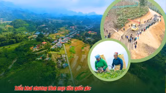 Nhìn từ các huyện nghèo