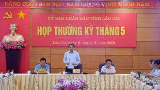 Chủ tịch UBND tỉnh: Nếu cán bộ, công chức, viên chức không đáp ứng được yêu cầu nhiệm vụ thì thay thế