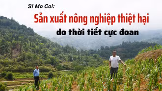 Sản xuất nông nghiệp thiệt hại do thời tiết cực đoan