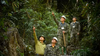 Cùng kiểm lâm khu bảo tồn Văn Bàn tuần rừng
