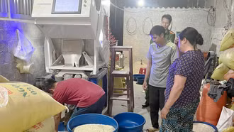 Xử phạt một chủ hộ kinh doanh gạo "Séng cù xanh" không đúng quy định