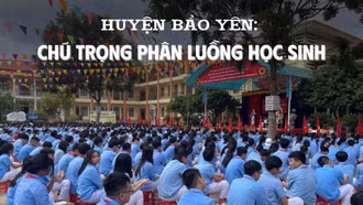 Huyện Bảo Yên chú trọng phân luồng học sinh