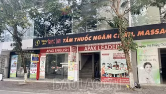 Lào Cai: Đình chỉ hoạt động có thời hạn Trung tâm Ngoại ngữ Apax English 