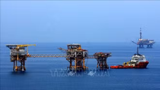 Petrovietnam công bố 2 phát hiện dầu khí mới mỏ Rồng và mỏ Bunga Aster