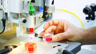 Nghiên cứu mới giúp điều trị rối loạn nhịp tim