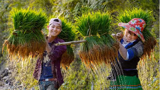 Cảnh sắc lộng lẫy của Việt Nam qua góc nhìn của các nhiếp ảnh gia quốc tế