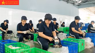Mở đường cho hàng Việt Nam sang các thị trường tiềm năng và mới mẻ