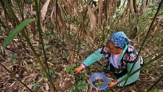UNDP chia sẻ bài học quốc tế về hỗ trợ tài chính cho mục tiêu giảm nghèo của Việt Nam