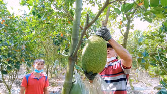 "Mạng nhà nông" dự báo cung cầu kết nối nông dân và doanh nghiệp