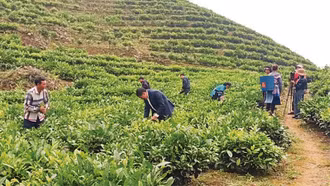 Chuyện giảm nghèo ở ''lõi nghèo'' Lào Cai