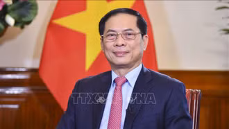 Phát triển quan hệ Đối tác chiến lược Việt Nam-Anh ngày càng hiệu quả và sâu rộng
