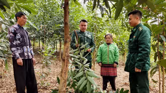 Xuân về trên bản Lũng Pô