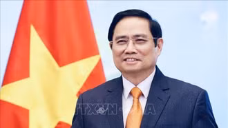 Chuyến thăm Brazil của Thủ tướng Chính phủ Phạm Minh Chính là bước tiến quan trọng trong quan hệ song phương