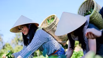 Phát triển bền vững du lịch nông nghiệp