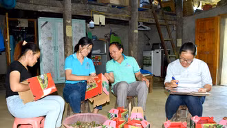 Lời giải hữu hiệu nào cho bài toán tinh giản biên chế?