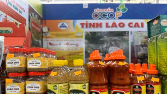Nhiều sản phẩm nông nghiệp tiêu biểu của Lào Cai trưng bày tại Hội Báo toàn quốc 2024