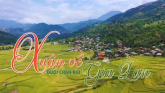 Xuân về dưới chân núi Gia Lan