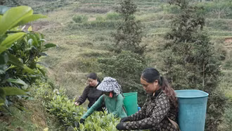 Mường Khương hỗ trợ phụ nữ phát triển kinh tế