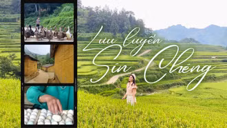 Lưu luyến Sín Chéng 