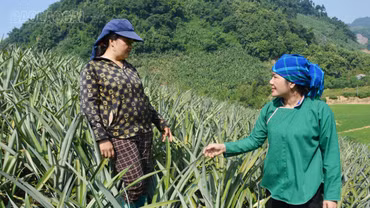 Phát huy vai trò “hạt nhân” của bí thư chi bộ