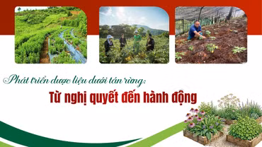 Từ nghị quyết đến hành động