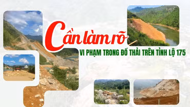 Cần làm rõ vi phạm trong đổ thải trên tỉnh lộ 175