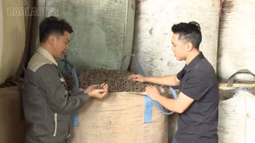 Người biến rác lâm sản thành viên nén gỗ