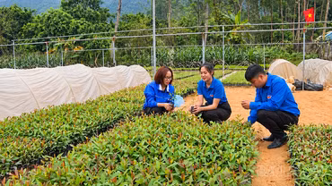 Xây dựng hình mẫu thanh niên trong kỷ nguyên mới