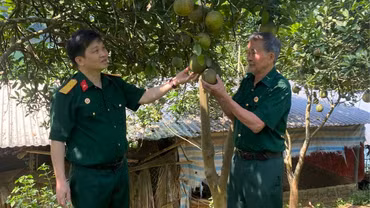 Cựu chiến binh phát triển kinh tế gắn với sinh kế cộng đồng