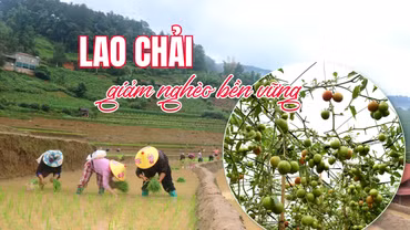 Lao Chải giảm nghèo bền vững