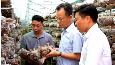Phó Chủ tịch UBND tỉnh Lào Cai Nguyễn Thành Sinh thăm các mô hình phát triển kinh tế tại Púng Luông