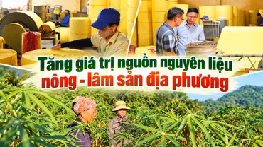 Tăng giá trị nguồn nguyên liệu nông - lâm sản địa phương