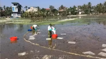 Chỉ thị của Bộ Chính trị về bảo đảm an ninh môi trường trong thời kỳ phát triển mới
