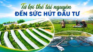 Từ lợi thế tài nguyên đến sức hút đầu tư